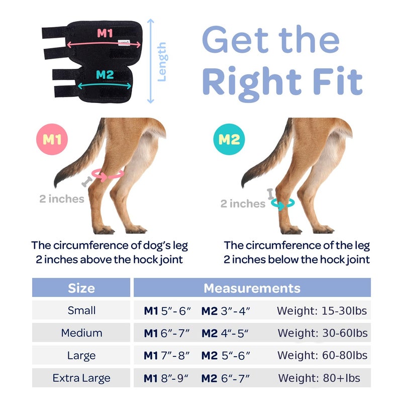 Labra Dog Rear Leg Hock Joint Compression Wrap - Supportive Brace for Weak Back Legs, ACL Tear, and Joint Discomfort - Adjustable Hind Leg Support for Senior Dogs - Medium - Image 2