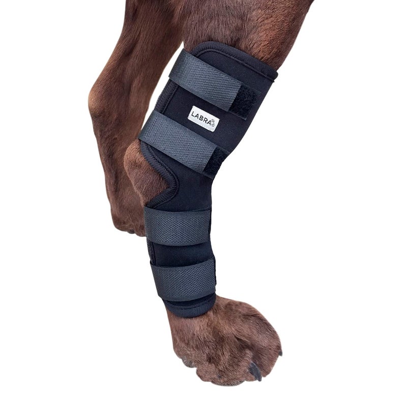 Labra Dog Rear Leg Hock Joint Compression Wrap - Supportive Brace for Weak Back Legs, ACL Tear, and Joint Discomfort - Adjustable Hind Leg Support for Senior Dogs - Medium - Image 1