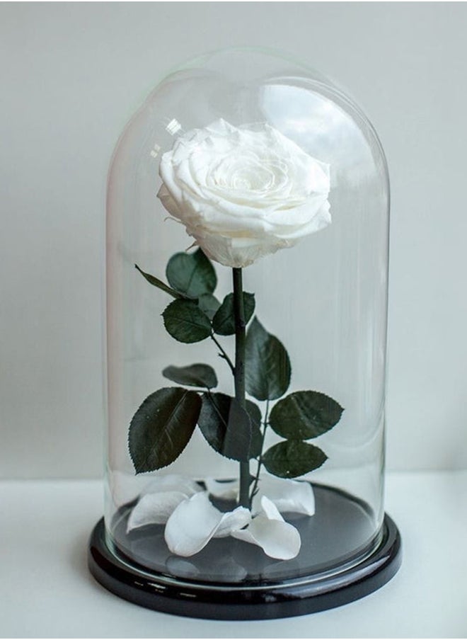 Floral lane Flower Shop Eternal Love - Forever Rose White 