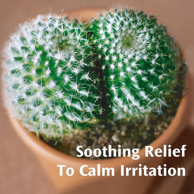 Anusol Ointment Proven Formula Shrinks Piles Relieves Discomfort Soothes Itching Lubricates 25 g Pack of 1 - Image 5