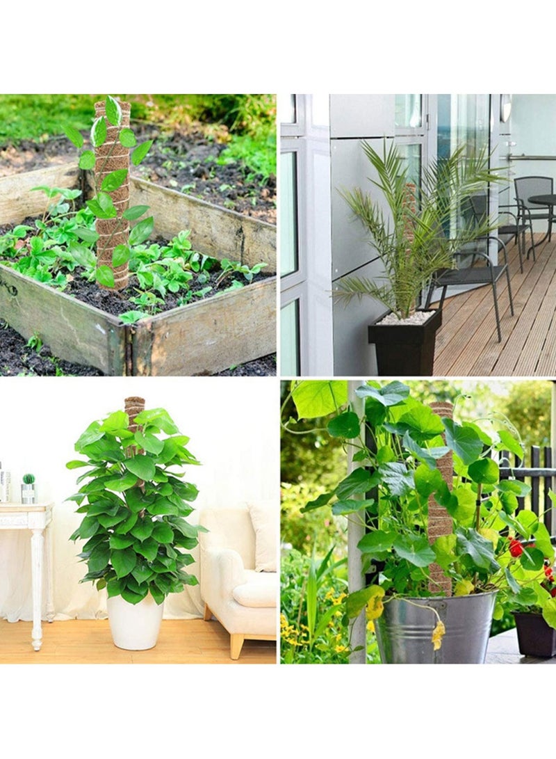 عامود تسلق و تجذير هوائي للبوتس و شبيهاتها بطول 50 سم - Image 2