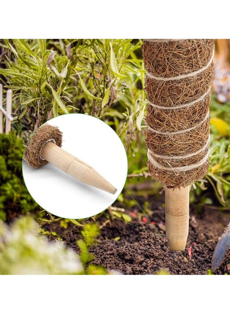 عامود تسلق و تجذير هوائي للبوتس و شبيهاتها بطول 50 سم - Image 3