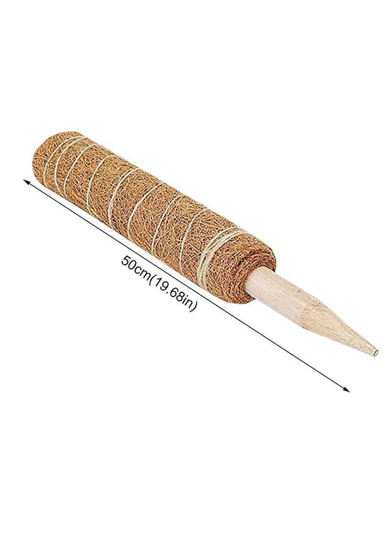 عامود تسلق و تجذير هوائي للبوتس و شبيهاتها بطول 50 سم - Image 5