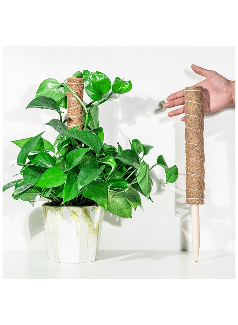عامود تسلق و تجذير هوائي للبوتس و شبيهاتها بطول 50 سم - Image 1