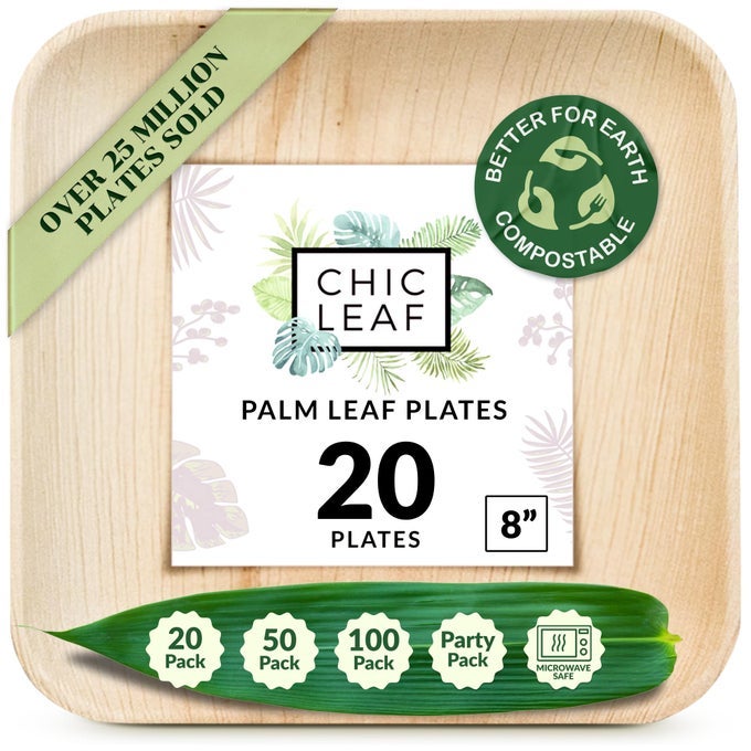 PALM LEAF DISPOSABLE BAMBOO PLATES SQUARE PARTY PLATES FOR WEDDINGS PARTIES EVENT APPETIZERS BIODEGRADABLE COMPOSTABLE PARTY SUPPLIES 8 20 PACK