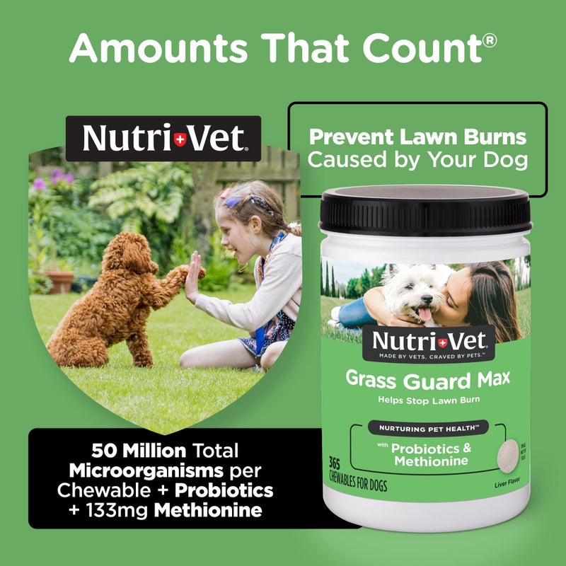 nutri vet Nutri-Vet Grass Guard Chewables for Dogs, Prevents Lawn Burn from Dog Urine, Protects Grass, and Supports Digestive Health, 365 Count - Image 3