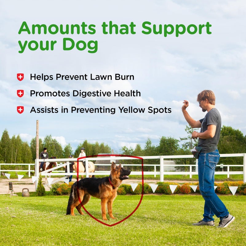 nutri vet Nutri-Vet Grass Guard Chewables for Dogs, Prevents Lawn Burn from Dog Urine, Protects Grass, and Supports Digestive Health, 365 Count - Image 5
