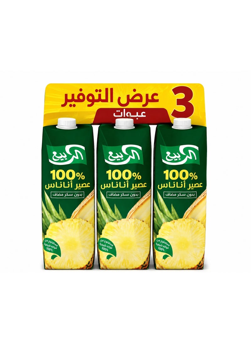 الربيع عصير  أناناس – 185 مل × 3 عبوات | مشروب استوائي منعش من الأناناس الطبيعي | غني بفيتامين C وبدون مواد حافظة - Image 1