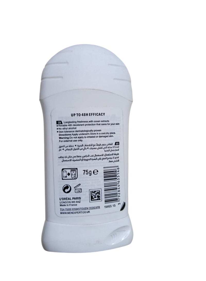 لوريال باريس مين إكسبرت مزيل عرق ستيك حماية القميص 48 ساعة 75 جم - Image 3