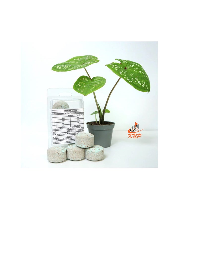 KNP Fertilizer Tablets with Complete Essential Nutrients 4 tabs pack - Image 2