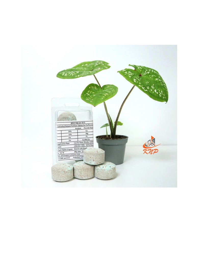 KNP Fertilizer Tablets with Complete Essential Nutrients 4 tabs pack - Image 1