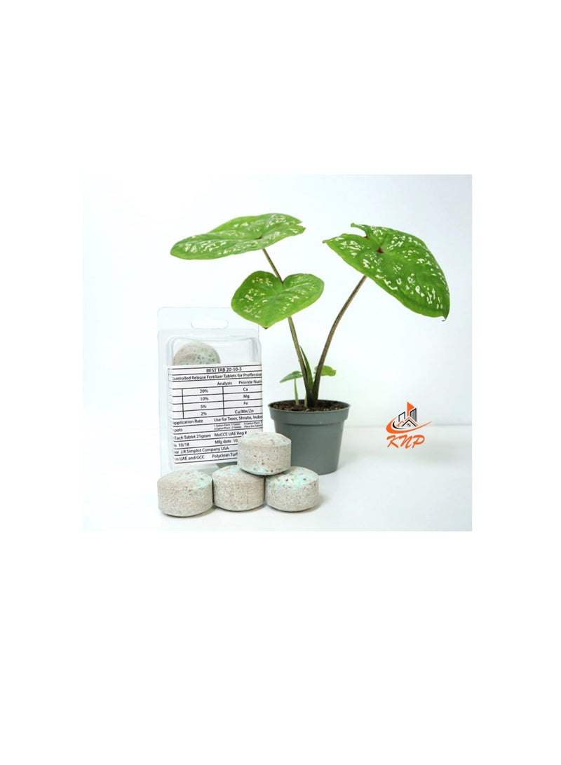 KNP Fertilizer Tablets with Complete Essential Nutrients 4 tabs pack - Image 3