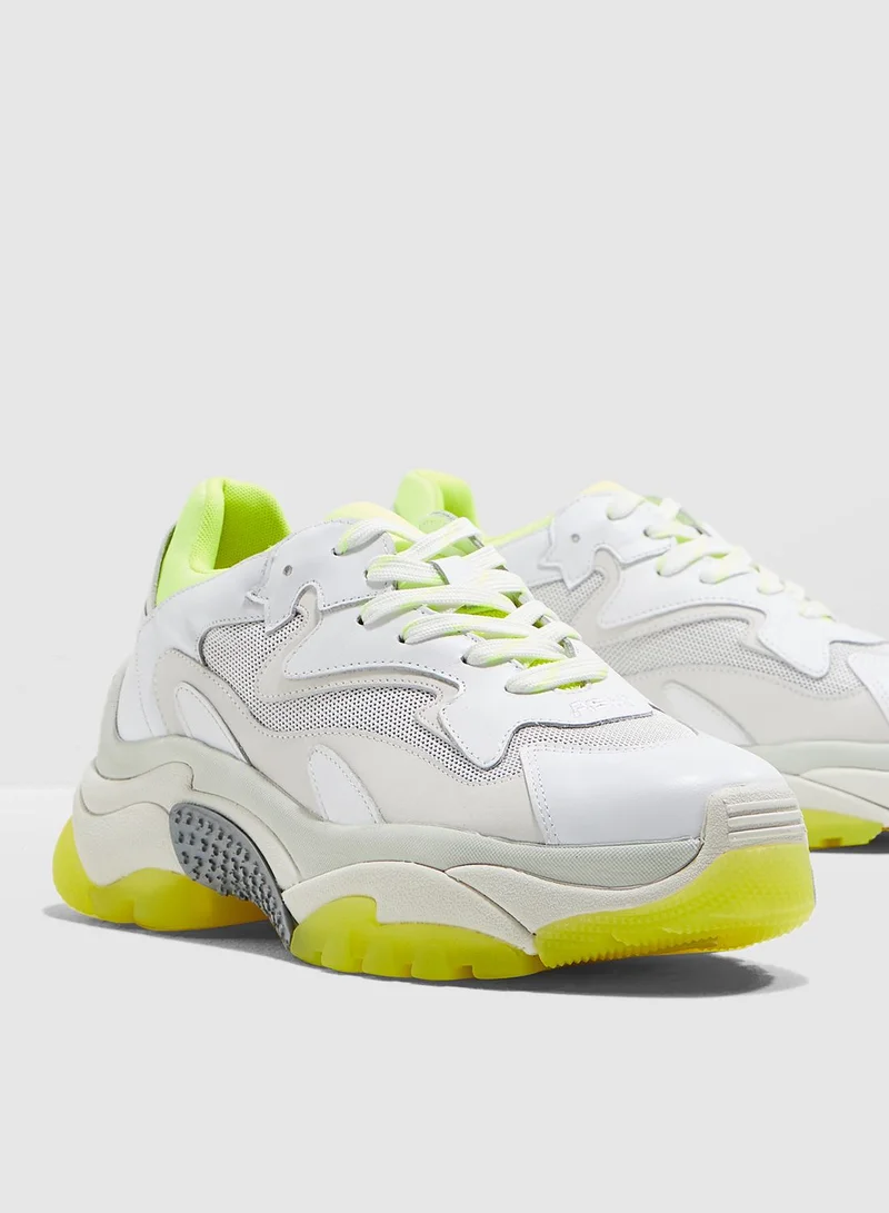 Ash Addict Sneaker