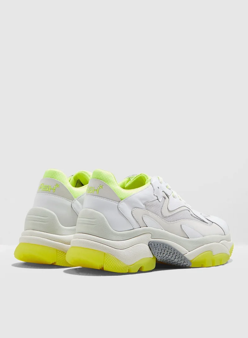 Ash Addict Sneaker
