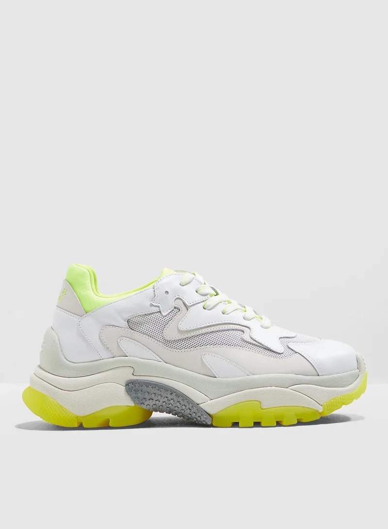 Ash Addict Sneaker