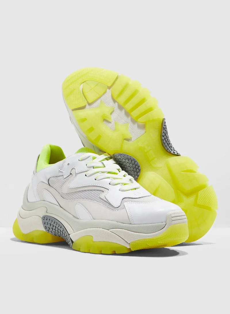 Ash Addict Sneaker