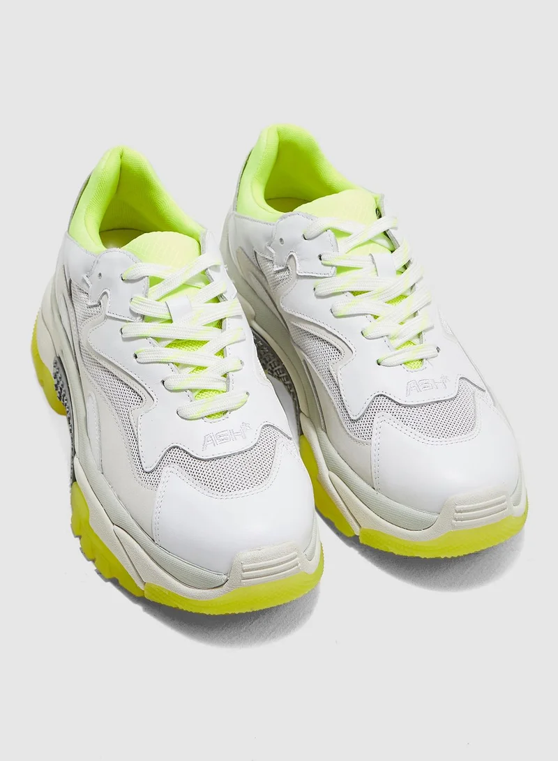 Ash Addict Sneaker