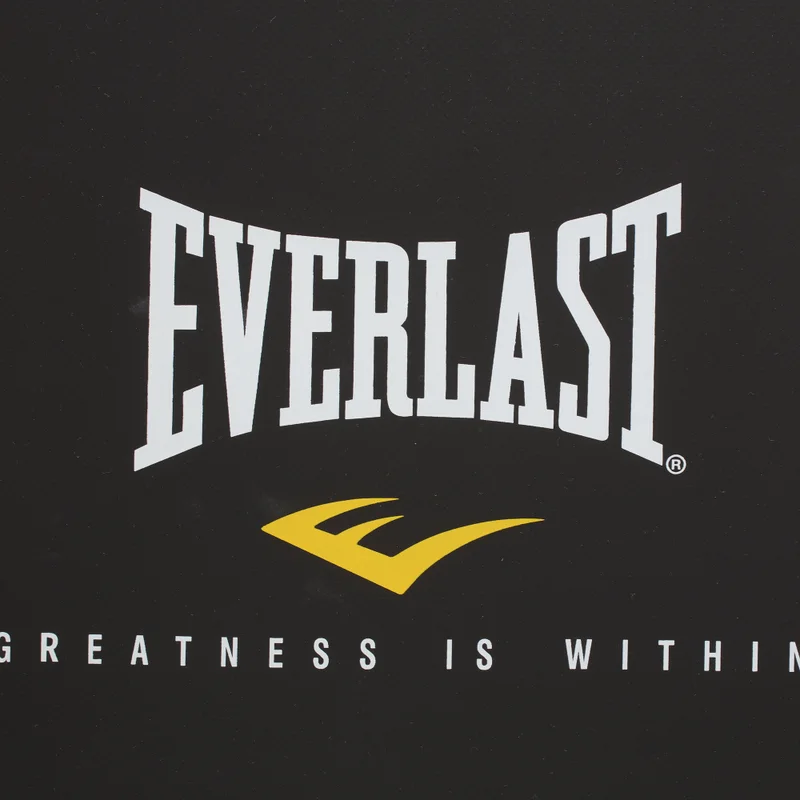 Everlast  MMA Strike Shield  | Best Price UAE