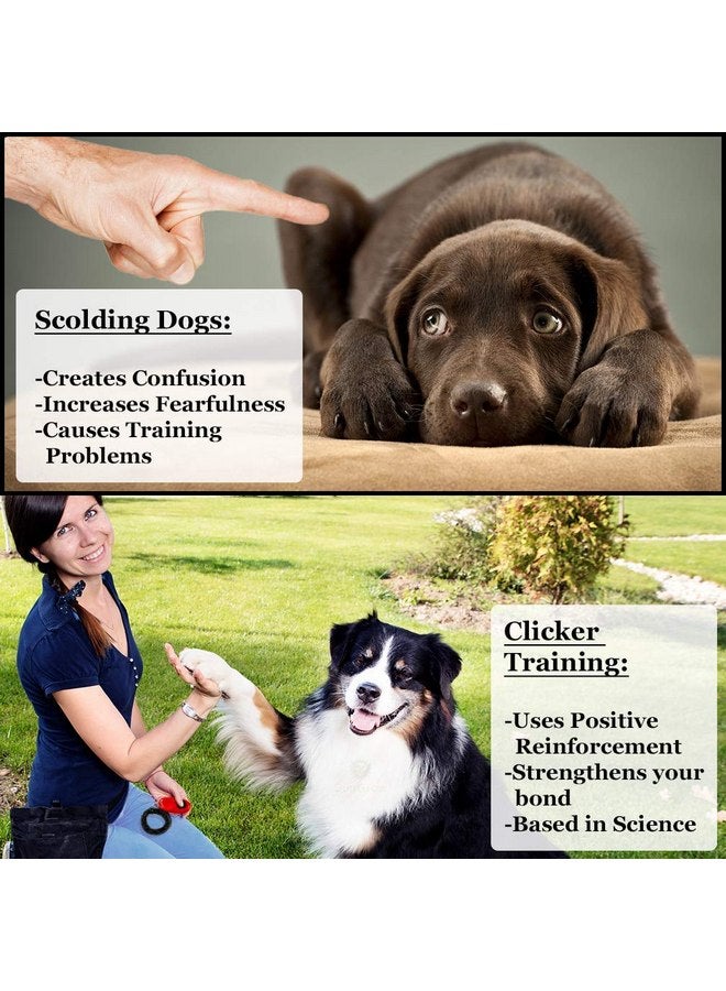 SunGrow Dog Clickers with Black Wrist Bands, 2.4x1.8 Inches, Colorful, Effective Training Tools for Puppy or Cat, Humanized Scientific Professional Design, Perfect Size and Sound, 4 Pack - Image 3
