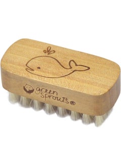 green sprouts green sprouts Baby Nail Brush  - Image 1