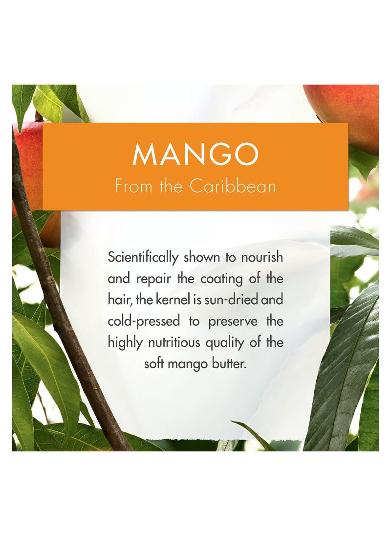 Klorane - Nourishing Shampoo with Mango Butter 200ml - Image 1