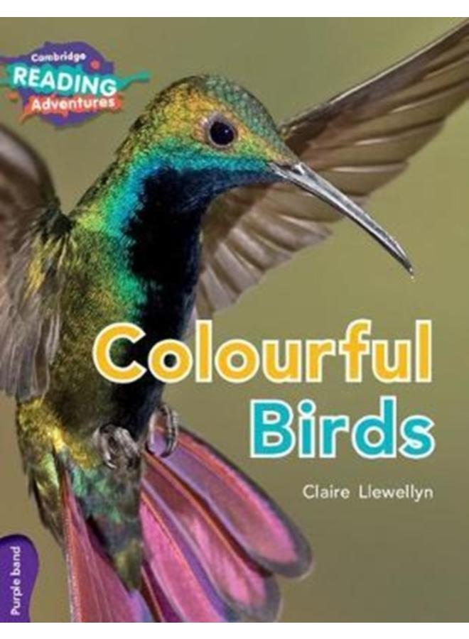 Cambridge Reading Adventures Colourful Birds Purple Band 