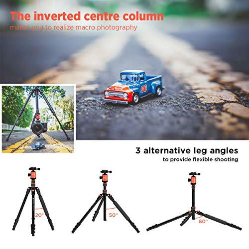 GEEKOTO 77’’ Tripod, Camera Tripod for DSLR, Compact Aluminum Tripod with 360 Degree Ball Head and 8kgs Load for Travel and Work - Image 4