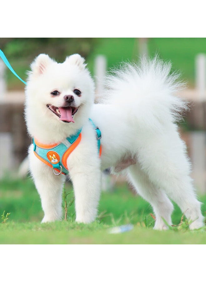 Zigman Cigeman Dog Leash, Dog Rope, Walking Rope, Chest Harness Set, Size S, For Small Dogs, Teddy, Bichon Frise, Small Dogs, Dog Leash - Image 1