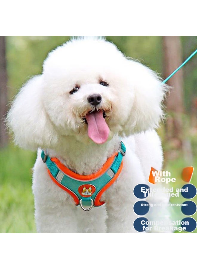 Zigman Cigeman Dog Leash, Dog Rope, Walking Rope, Chest Harness Set, Size S, For Small Dogs, Teddy, Bichon Frise, Small Dogs, Dog Leash - Image 2
