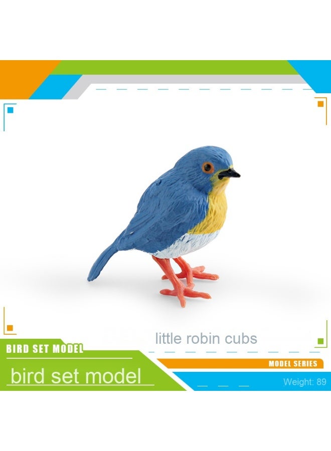 NIBEMINENT Realistic Bird Model Desktop Decoration - Static Display Figurine