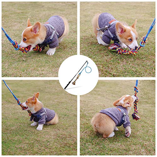 DIBBATU Flirt Pole for Dogs Interactive Dog Toys for Large Medium Small Dogs Chase and Tug of War, Dog Teaser Wand with Lure Chewing Toy for Outdoor Exercise & Training - Image 3