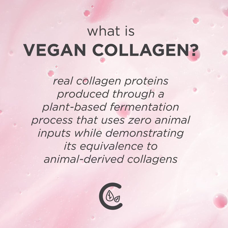 Pacifica Beauty Vegan Collagen SPF 30 Broad Spectrum Sunscreen Every Day Face Lotion, UVA/UVB Protection for All Skin Types, Lightweight, Moisturizing & Hydrating, Cruelty Free, White, 1.7 Fl Oz - Image 3