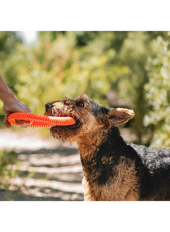 Chuckit! Rugged Flyer Dog Toy, Medium, Assorted Colors - Image 5