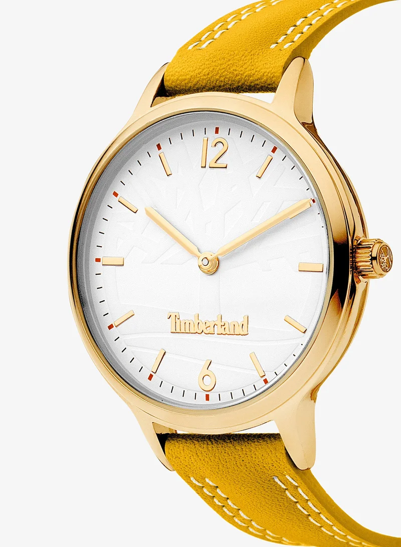 Timberland Sconset Women's Watch 34mm Analog White Dial Cream Leather Strap