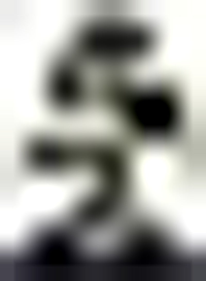 GGOOT seeds Acer buergerianum (Trident Maple)   20 Seeds - Image 1