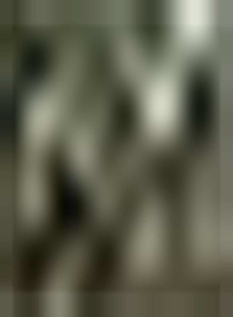 GGOOT seeds Acer buergerianum (Trident Maple)   20 Seeds - Image 2