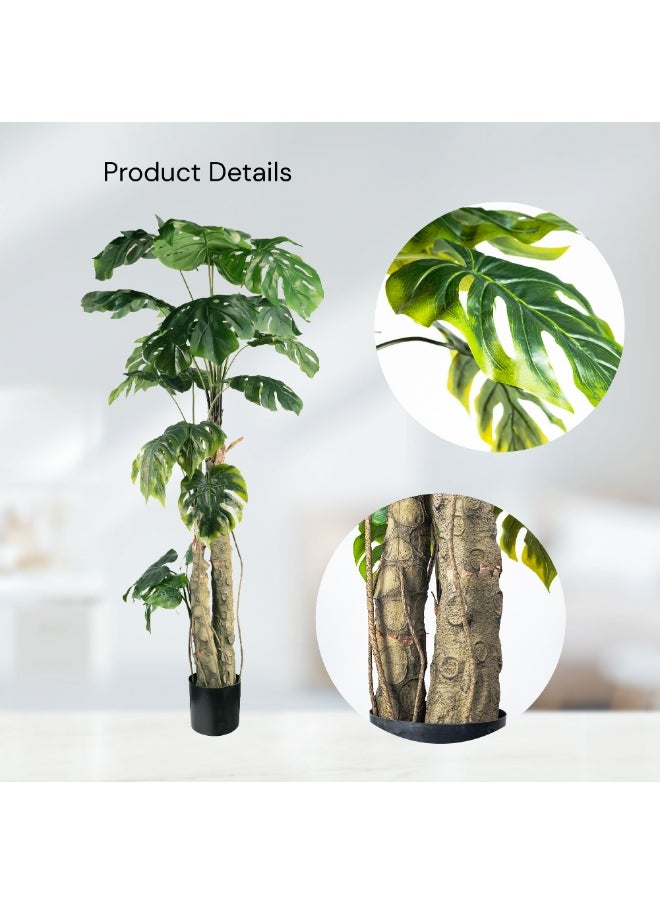 Gulf Flowers 183cm Artificial Philo Tree – Tall Faux Indoor Tree with Realistic Green Leaves – Decorative Plant for Home, Office, Living Room & Interior Styling – No Maintenance Needed