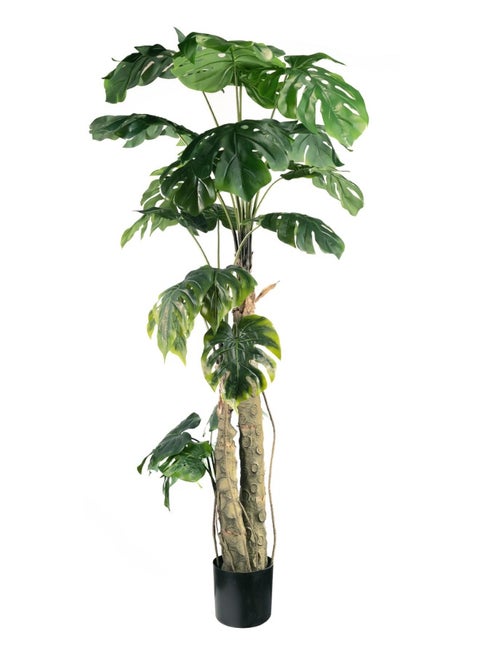 Gulf Flowers 183cm Artificial Philo Tree – Tall Faux Indoor Tree with Realistic Green Leaves – Decorative Plant for Home, Office, Living Room & Interior Styling – No Maintenance Needed