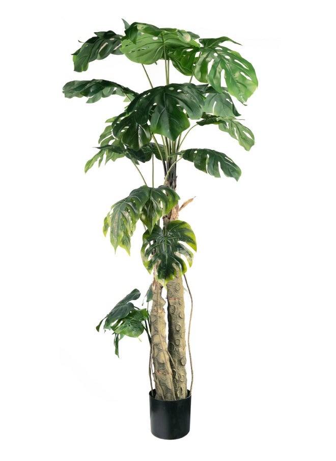 Gulf Flowers 183cm Artificial Philo Tree – Tall Faux Indoor Tree with Realistic Green Leaves – Decorative Plant for Home, Office, Living Room & Interior Styling – No Maintenance Needed