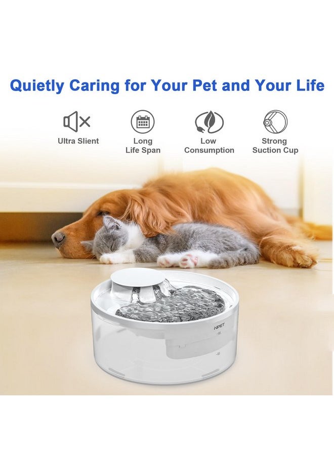 NPET - NPET Large Dog Water Fountain,169oz/5L Deep Drinking Area Automatic Pet Fountains Filtration Water Dispenser with Quiet Pump for Cats Dogs(Semi-White) - Image 1