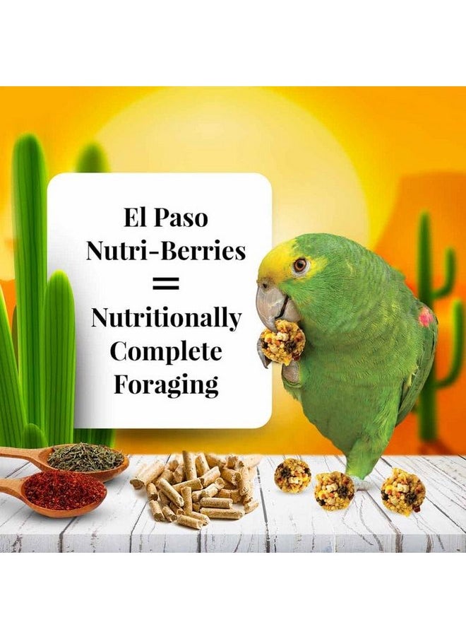 لافيبيرز طعام الطيور الأليفة LAFEBER'S El Paso Nutri-Berries، مصنوع من مكونات غير معدلة وراثيًا ومناسبة للبشر، للببغاوات، 3 رطل  - Image 2