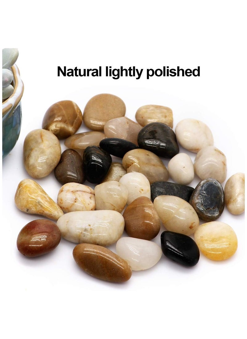 Generic - Polished River Stones Natural Decorative River Pebbles Rocks Mixed Colour Gravel River Rock for Outdoor or Indoor Decor Vase Fillers Landscaping 2.5 Kg 1 to 1.5 Inch Size - Image 1