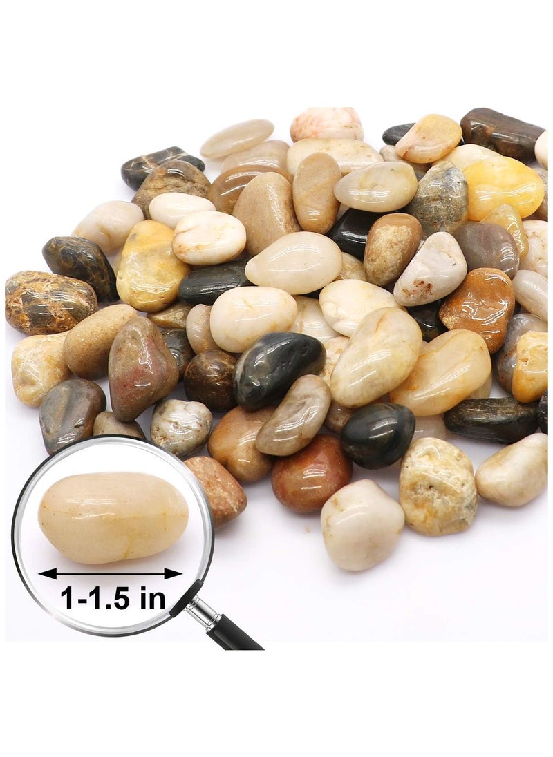 Generic - Polished River Stones Natural Decorative River Pebbles Rocks Mixed Colour Gravel River Rock for Outdoor or Indoor Decor Vase Fillers Landscaping 2.5 Kg 1 to 1.5 Inch Size - Image 1
