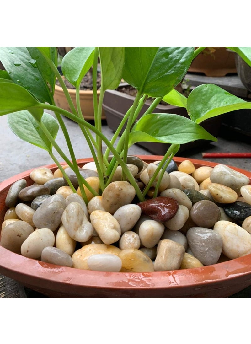 Generic - Polished River Stones Natural Decorative River Pebbles Rocks Mixed Colour Gravel River Rock for Outdoor or Indoor Decor Vase Fillers Landscaping 2.5 Kg 1 to 1.5 Inch Size - Image 1