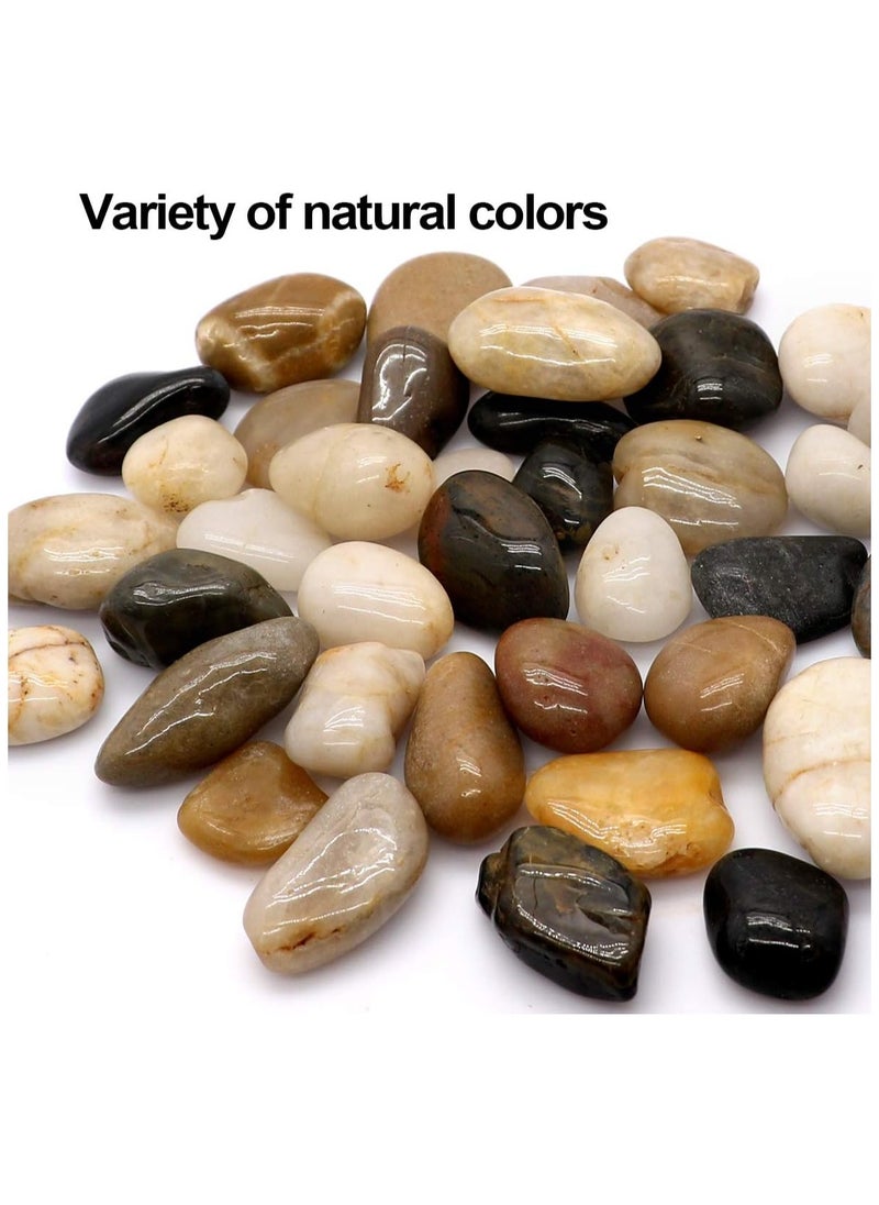 Generic - Polished River Stones Natural Decorative River Pebbles Rocks Mixed Colour Gravel River Rock for Outdoor or Indoor Decor Vase Fillers Landscaping 2.5 Kg 1 to 1.5 Inch Size - Image 1