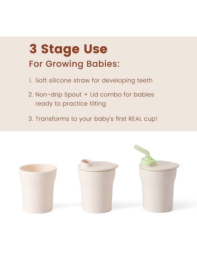 Miniware Miniware 1-2-3 Sip! Training Cup for Baby Toddler Self Feeding & Development, Tiny Cup Perfect for Baby Led Weaning, Non Drip Lid, Dishwasher Safe (2 Pack, Aqua + Key Lime)  - Image 3