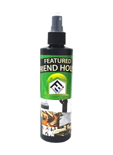 Spray cleaner 250 ml