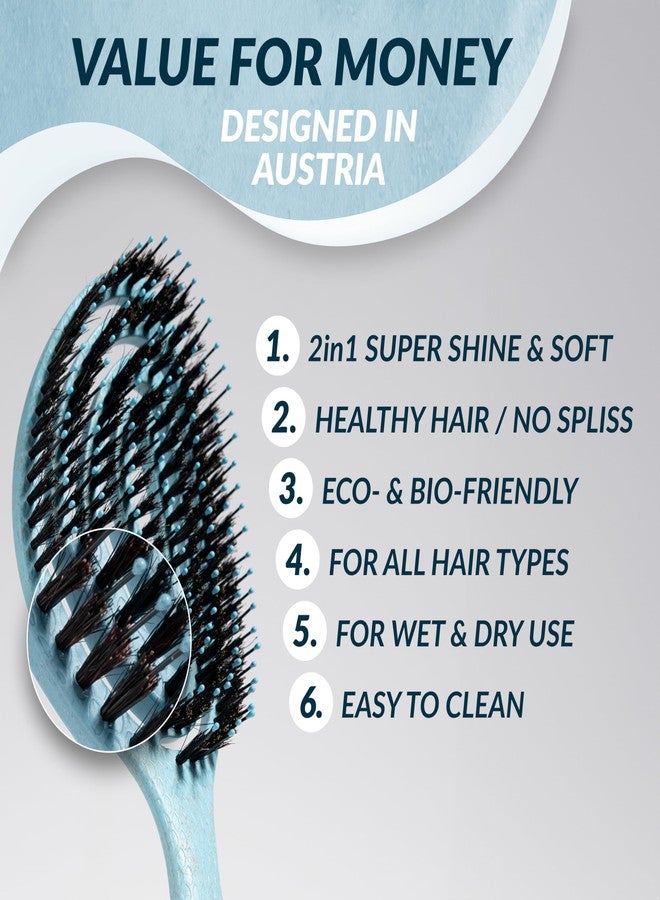 marQus Detangle Boar Brush Women and Men, Exclusive Ultra-soft bending Bristles and Body - Glide Through Tangles With Ease For All Hair Types - Women, Men, Wet And Dry Hair, 1pcs Blue Brush - Image 3