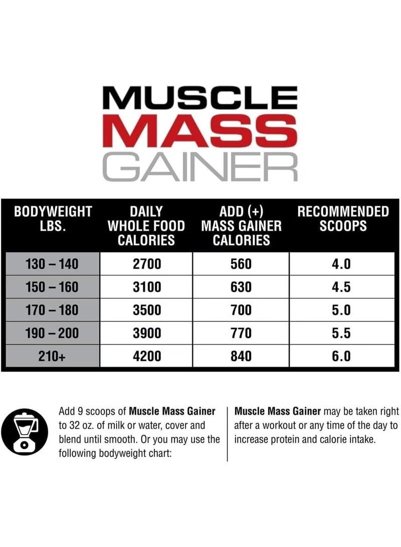 Labrada Muscle Mass Gainer Vanilla 12lb - Image 3