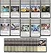 MTG Decks & More Elite Mono White Devotion Lifegain Deck  Very Powerful  Modern Legal  Custom Built  Magic The Gathering  MTG  60 Card - Image 4